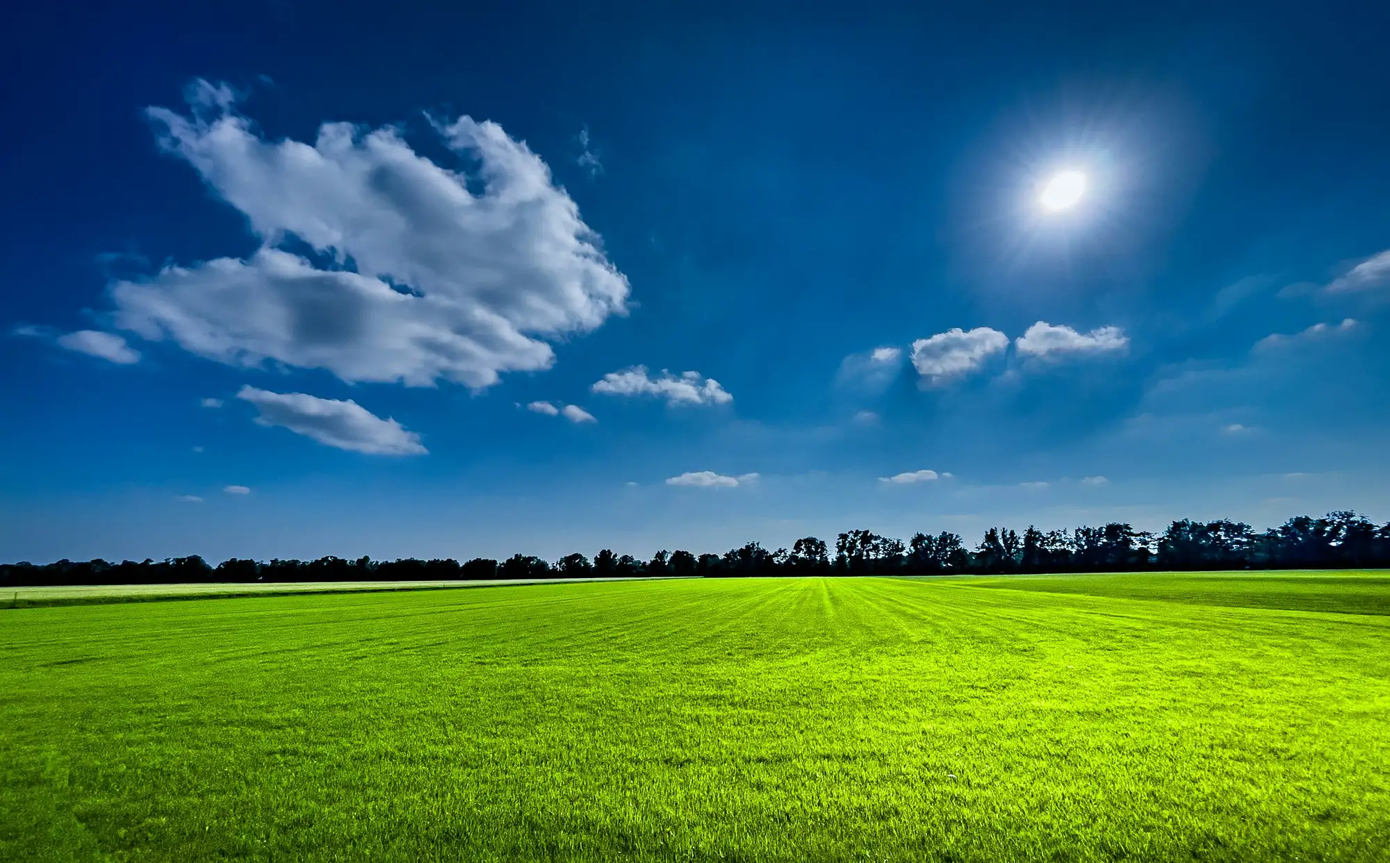 Eine grüne Wiese unter blauem Himmel mit Sonnenschein