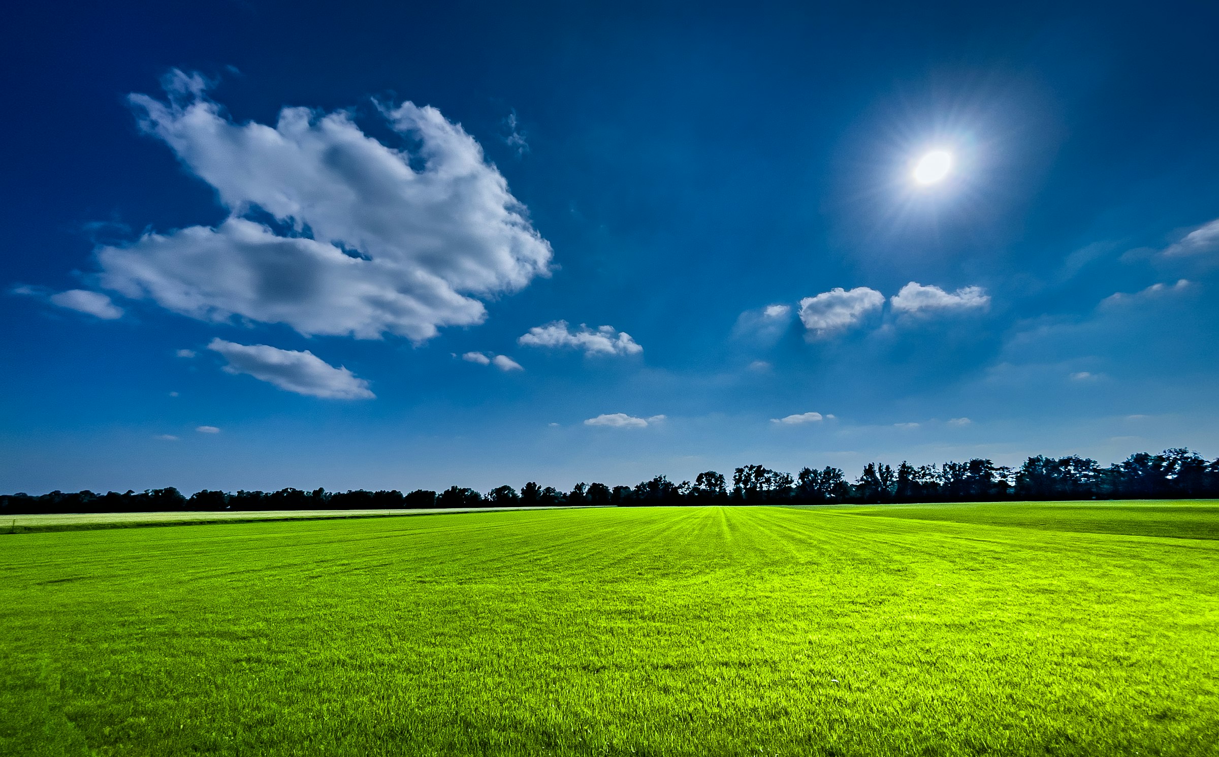 Grüne Wiese unter blauem Himmel Eine grüne Wiese unter strahlend blauem Himmel mit Sonnenschein